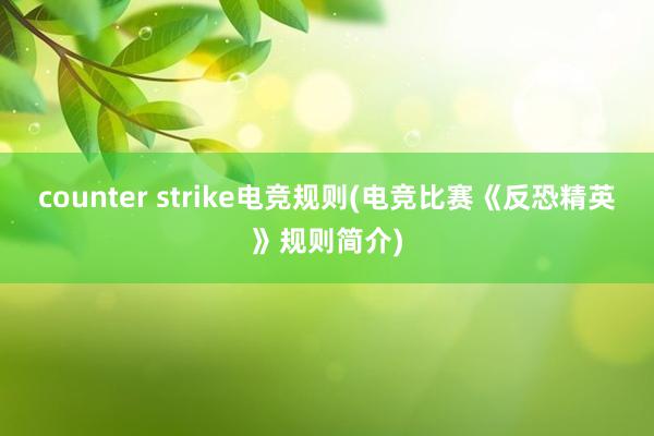 counter strike电竞规则(电竞比赛《反恐精英》规则简介)