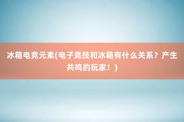 冰箱电竞元素(电子竞技和冰箱有什么关系？产生共鸣的玩家！)