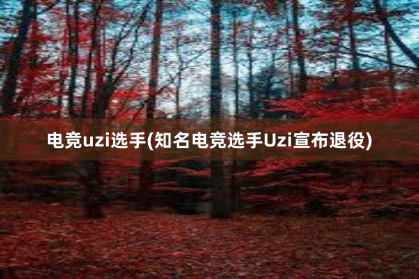 电竞uzi选手(知名电竞选手Uzi宣布退役)