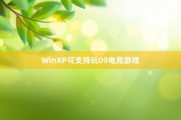 WinXP可支持玩09电竞游戏