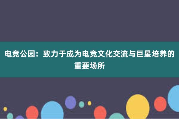 电竞公园：致力于成为电竞文化交流与巨星培养的重要场所