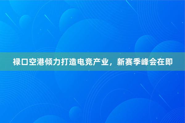 禄口空港倾力打造电竞产业，新赛季峰会在即