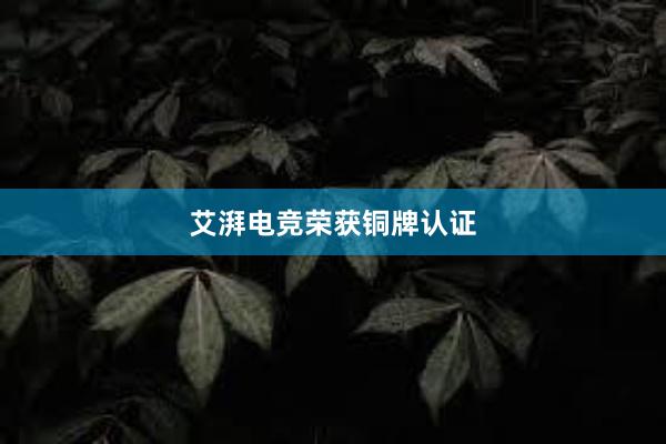 艾湃电竞荣获铜牌认证